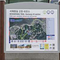 초록초록한 숲길, 산책하기 좋은 고창 선운사