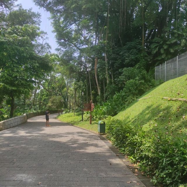 Fort Canning Park, a historic oasis in Singapore