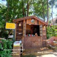 ฉำฉา [Chamcha Market] - เชียงใหม่
