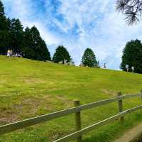 神戸市立六甲山牧場
