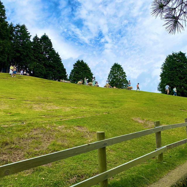 神戸市立六甲山牧場