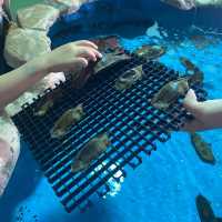 🌊🐠 台灣海洋生物博物館─海洋奇觀樂園 🌊🐠