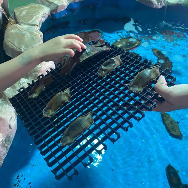 🌊🐠 台灣海洋生物博物館─海洋奇觀樂園 🌊🐠