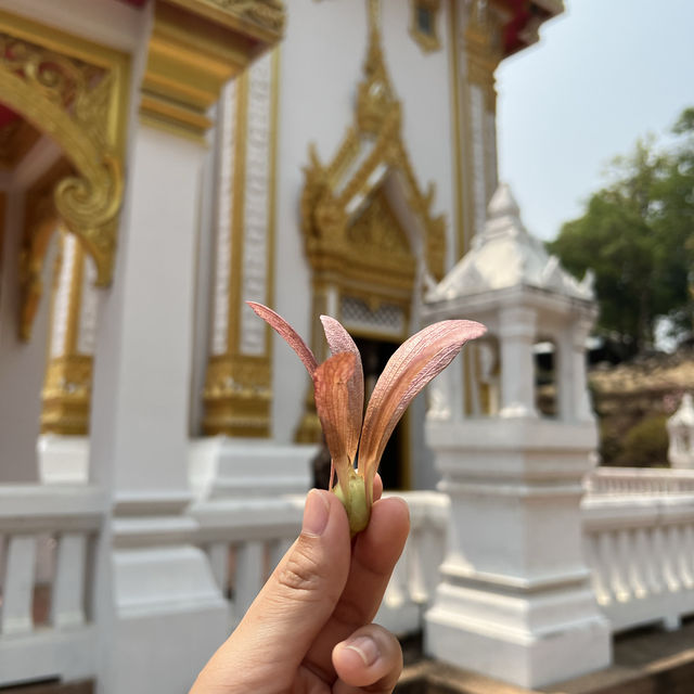 วัดพระบาทภูควายเงิน