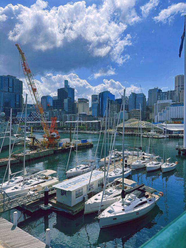 [雪梨] 享受悠閒的海港風景 絕美夜景搭配精彩煙火-達令港