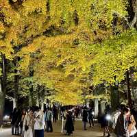 花街轉角的紙傘燈展，漫遊公園