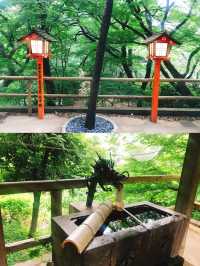 都内にある隠された秘境🫧緑豊かな渓谷🌿🕊‎【等々力】