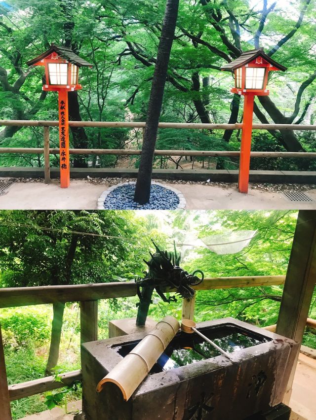 都内にある隠された秘境🫧緑豊かな渓谷🌿🕊‎【等々力】