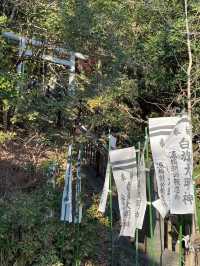 【神奈川県/白旗神社】源頼朝の外せない場所