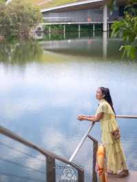 Miracle of Natural..ดอกทิวลิปบานที่ระยอง