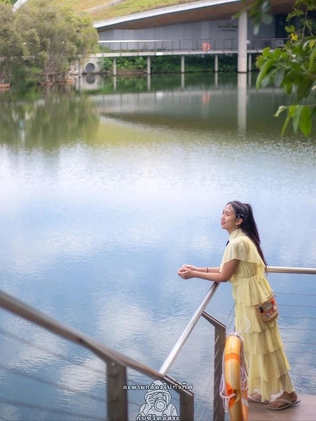 Miracle of Natural..ดอกทิวลิปบานที่ระยอง