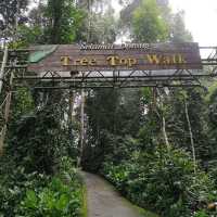 TREE TOP WALK