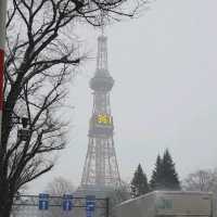 雪之札幌電視塔與大通公園