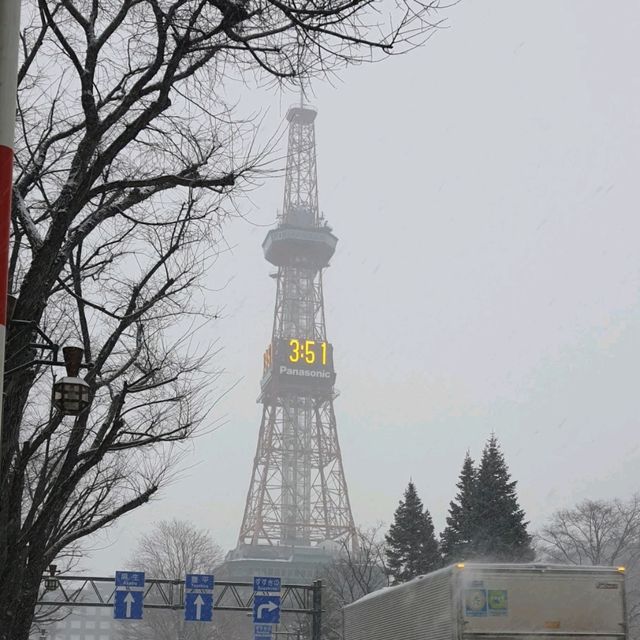 雪之札幌電視塔與大通公園