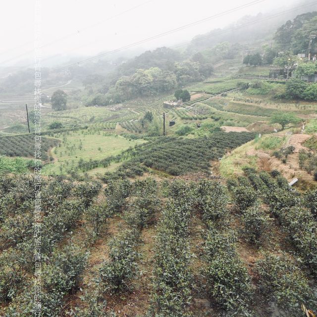 台北銀河洞 - 通關享受行山另類樂趣
