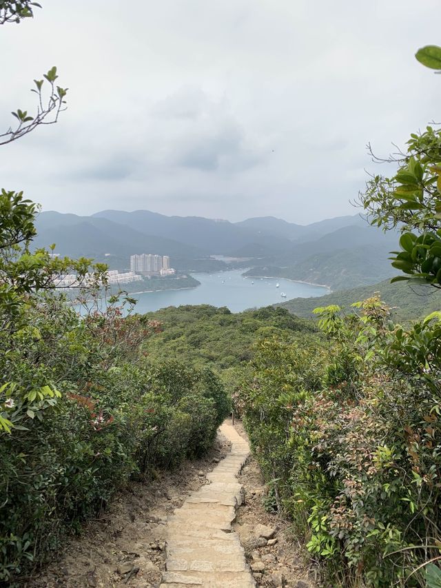 新手行山路線 - 龍脊 (打爛埕頂山) 🥾⛰️