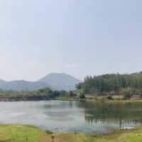 ไปกางเต้นท์กันที่ Phupha Coffee Camp บ้านคาราชบุรี