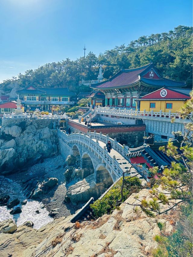 바다가 보이는 한국에서 가장 아름다운 사찰🪷