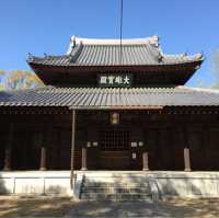 見どころだらけの広大なお寺【聖福寺】