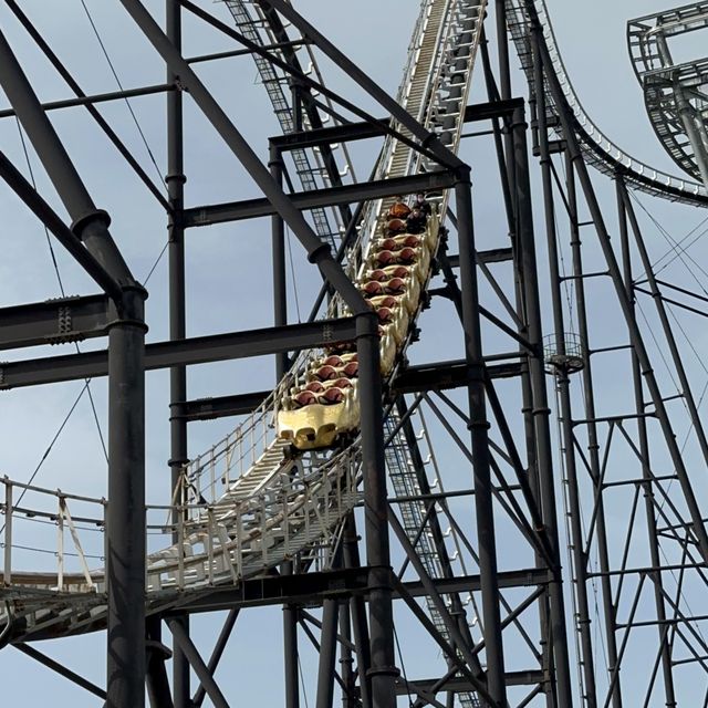 스릴이 한 곳에 모여있는, 후지큐하이랜드 🎢