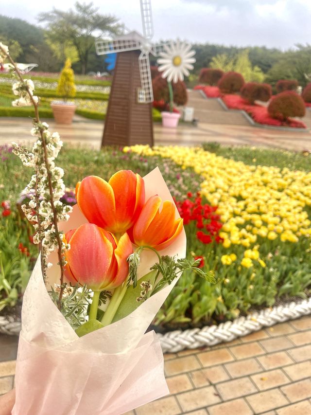 울산대공원 튤립 꽃놀이 🌷