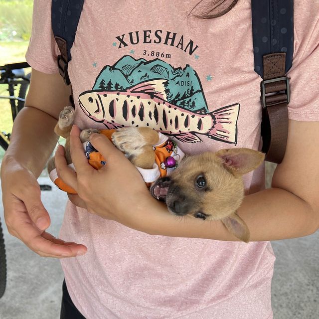 植物園