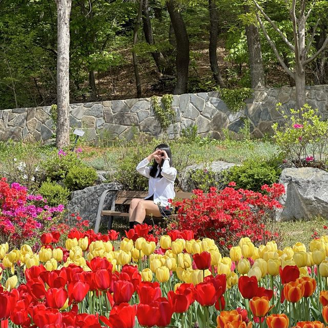 풍차랑 튤립조합이 사랑스러운 수목원🌷