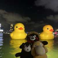 Yellow Ducks are back to Hong Kong 🐤🐤