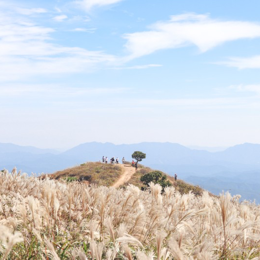 영남의 금강산 “황매산군립공원”