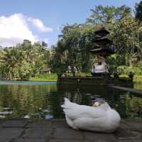 Taman Mumbul Sangeh