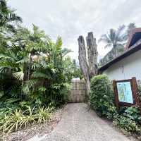 ไปไร่เลย์ ต้องนอนที่ Railay Bay Resort & Spa