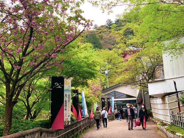 สวนสาธารณะกิฟุ (Gifu Park)🌳🌿