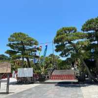 【 神奈川 / 鎌倉 】鎌倉文化の起点！鶴岡八幡宮⛩️
