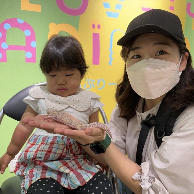可愛い動物たちと出会う場所→ソラマチにある