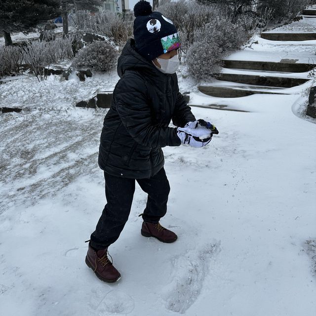 Snow fall in Korea!