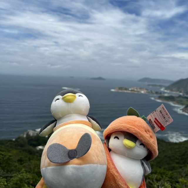飛機鵝和橙鵝烈日行山🥵