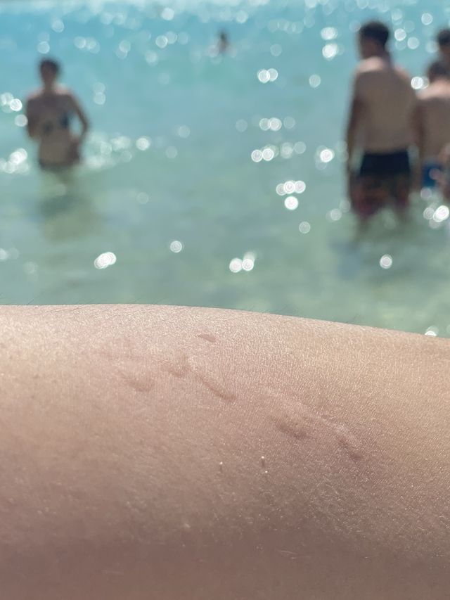 세상에서 젤 이쁜 바다, 몰타 블루라군🌊