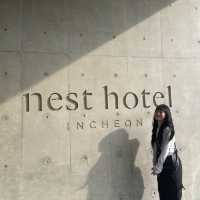 nest 수영장 거품 파티는 필수 🔥