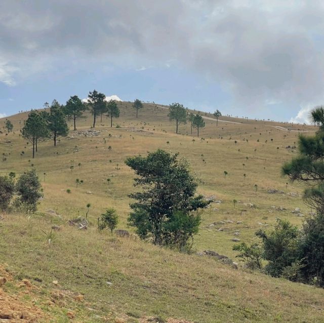 Phuong Hoang Hills