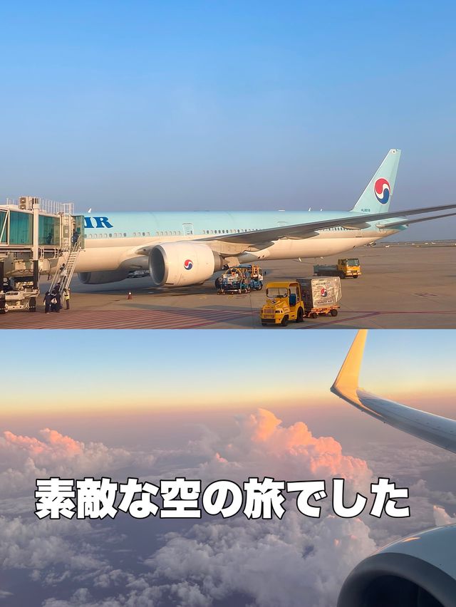 初めての大韓航空✈️ステキな旅でした