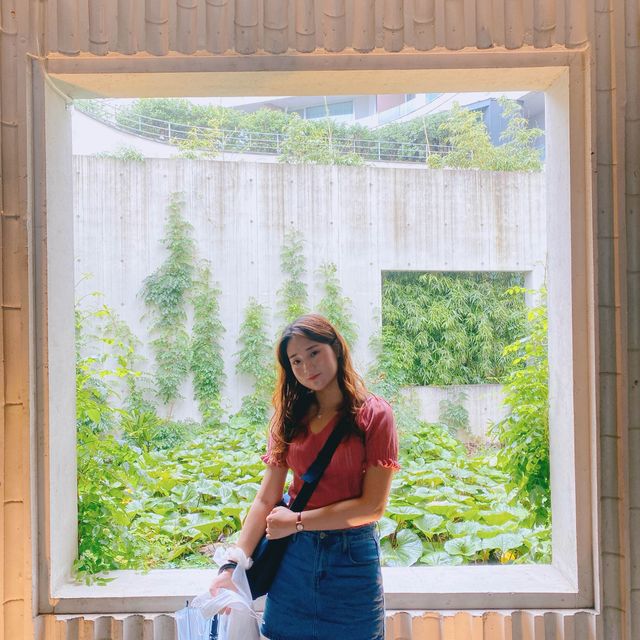 제주 자연 속 찐 힐링을 위한 공간🌿