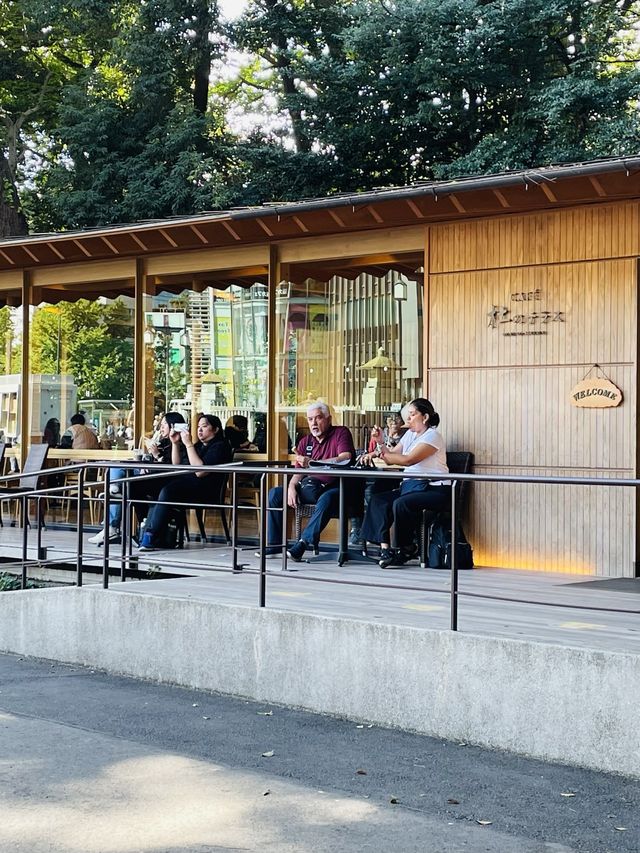 【東京都/CAFE 杜のテラス】パワースポットで快適なひととき