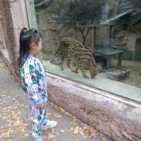 韓國必去免費親子遊 - 兒童大公園