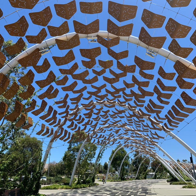 Perth | Stunning view of Matagarup Bridge at City View Cafe 