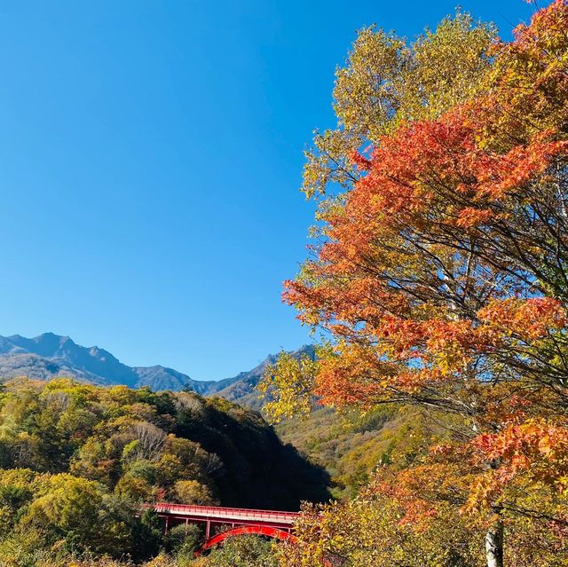 【自然に触れ合える山梨】