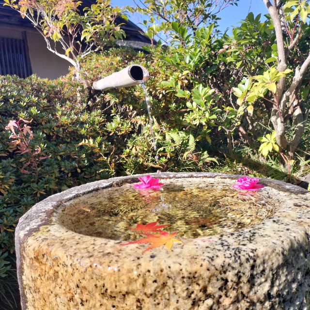 【昭和記念公園in立川編】