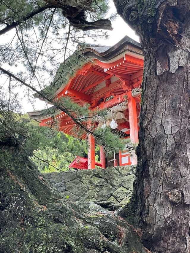 【島根県/日御碕神社】2023年行ってよかった！島根県の神社12