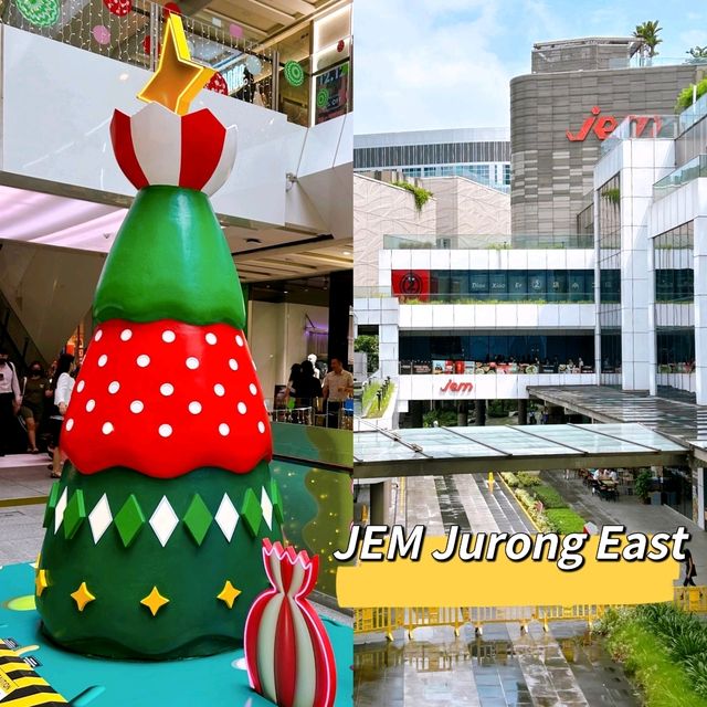 Enchanting Christmas Trees Across the City