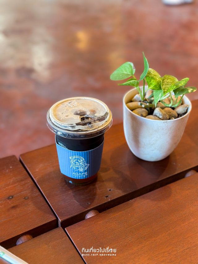 จิบกาแฟอร่อยๆ ที่ร้านลับในตัวเมืองเชียงราย☕️