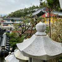 【韓国釜山・機張】釜山のパワースポット！願いを叶えたいなら「해동용궁사（海東龍宮寺）」